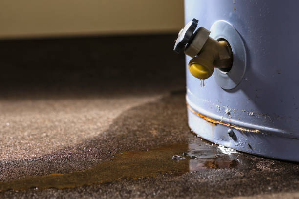 Best Professional water damage repair  in Upper Pohatcong, NJ