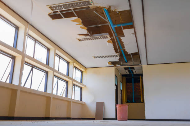 Best Water damage contractors near me  in Upper Pohatcong, NJ