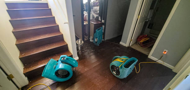 Best Flood damage cleanup  in Upper Pohatcong, NJ