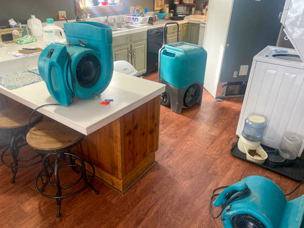 Best Commercial water damage restoration  in Upper Pohatcong, NJ