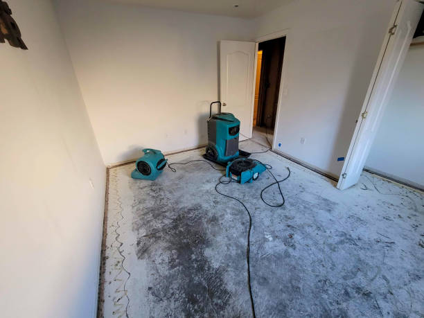 Best Water damage restoration near me  in Upper Pohatcong, NJ