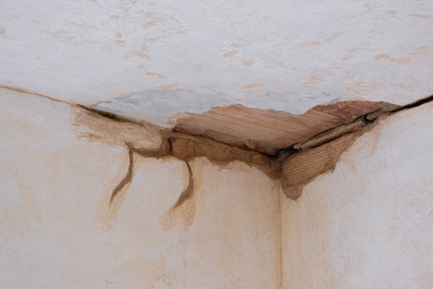 Best Ceiling water damage repair  in Upper Pohatcong, NJ