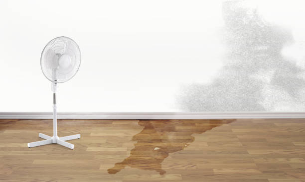 Best Basement water damage restoration  in Upper Pohatcong, NJ