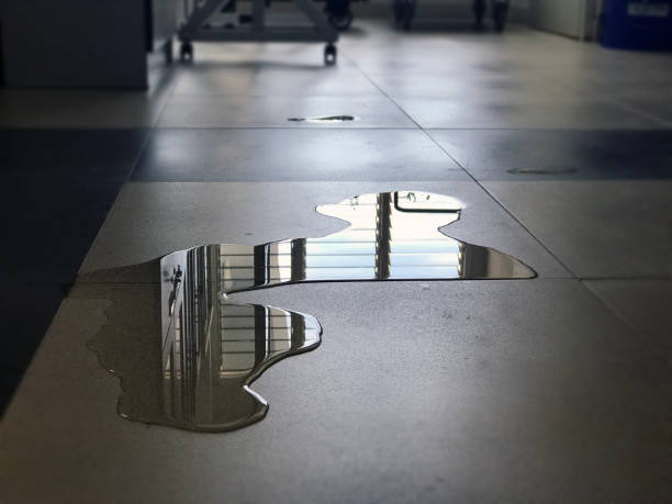 Best 24-hour water damage restoration  in Upper Pohatcong, NJ