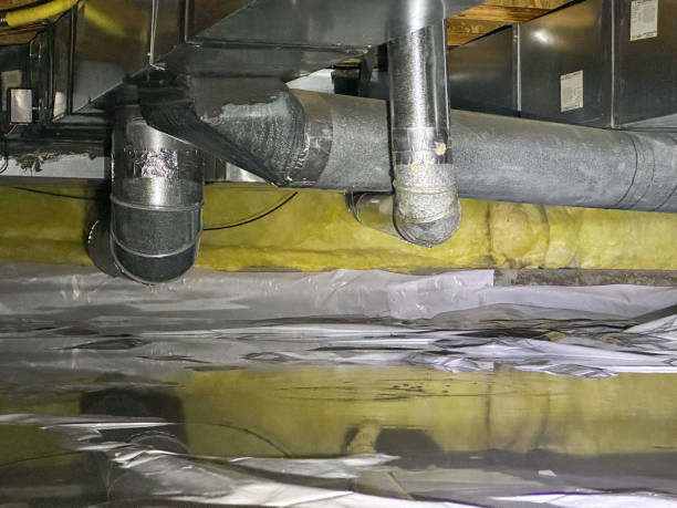 Best Carpet water damage restoration  in Upper Pohatcong, NJ