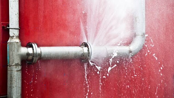 Best Mold removal after water damage  in Upper Pohatcong, NJ